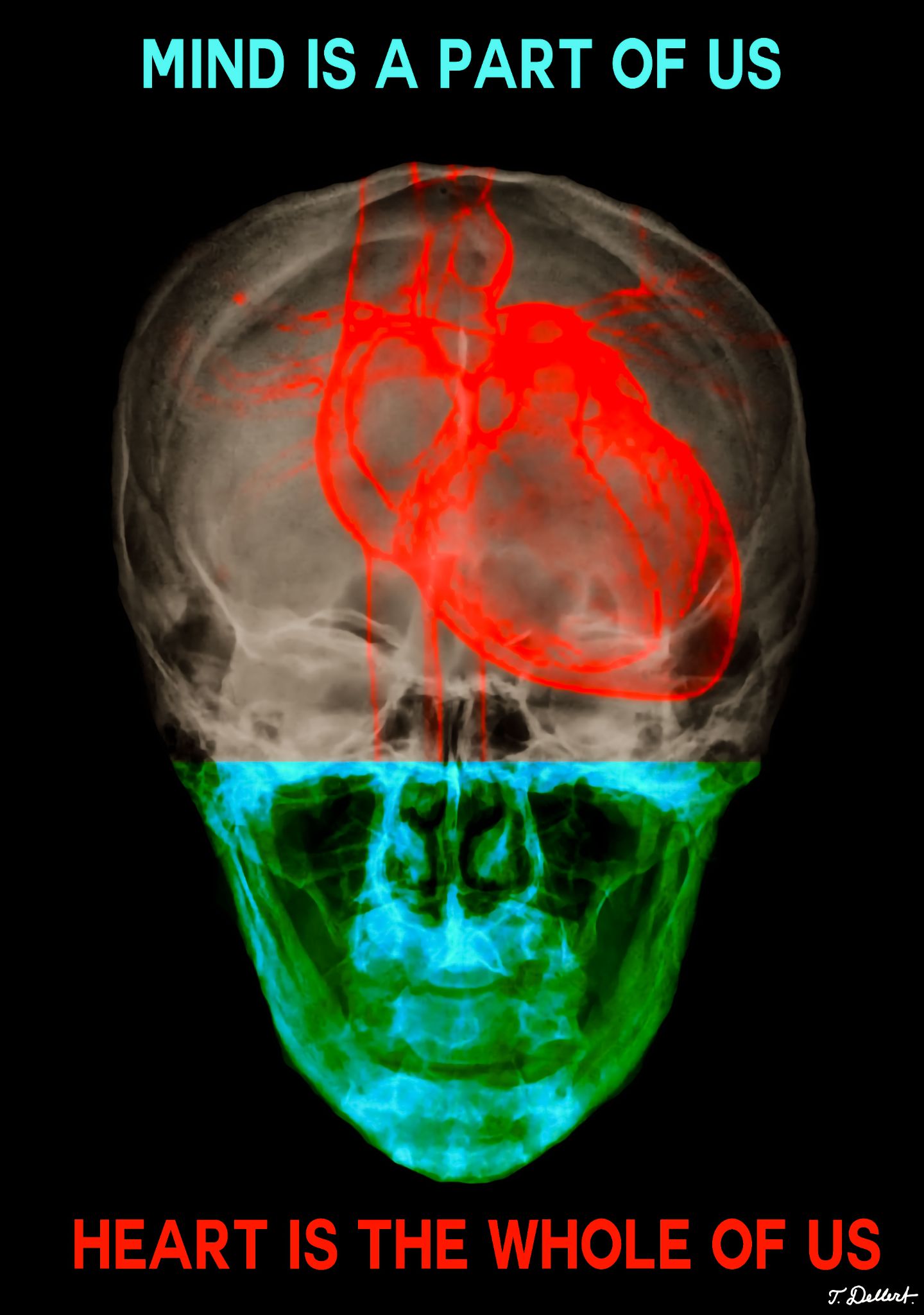 MIND AND HEART  